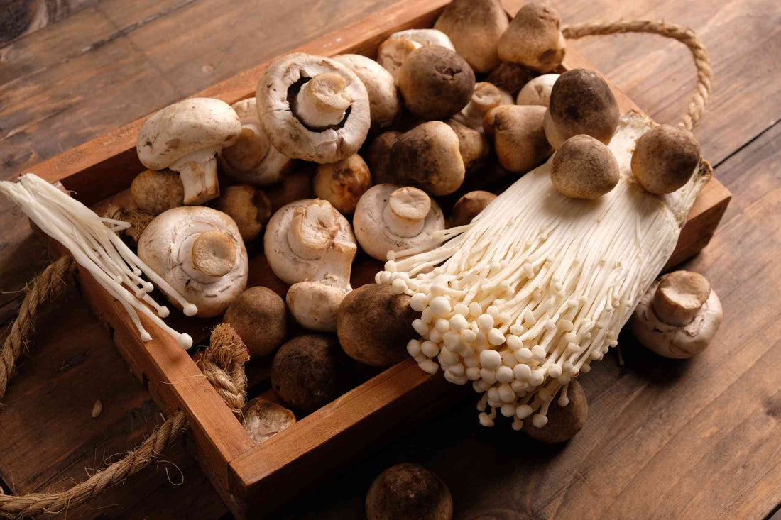 Why Mushrooms Deserve a Place in Your Everyday Diet