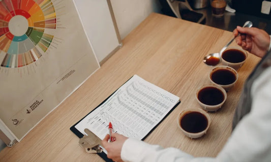 How to Create a Coffee Education Program for Your Staff and Customers