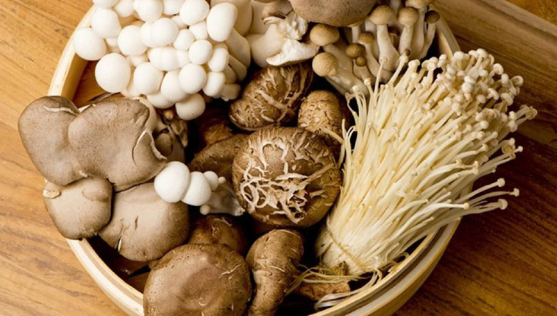 Mushrooms and Mental Wellness: Can Fungi Support a Healthier Mind?
