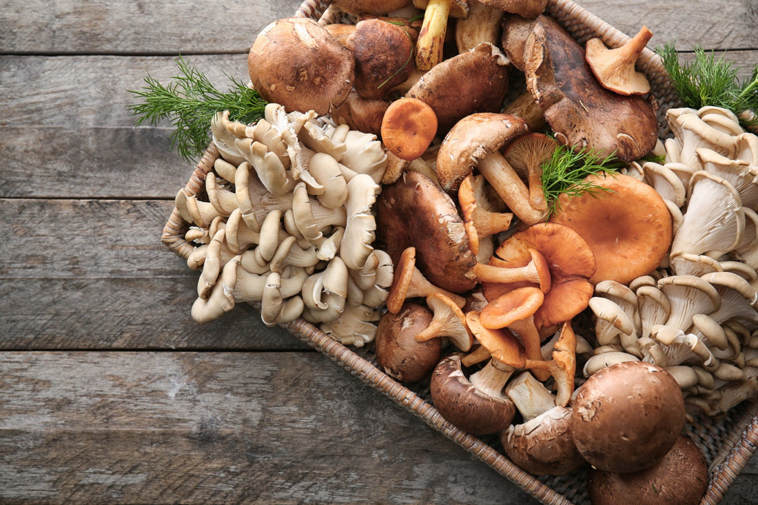 Cooking with Mushrooms: Elevate Everyday Meals with Earthy Flavor