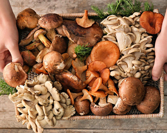 Reinventing Everyday Meals with Mushrooms: A Creative Cook’s Secret Weapon
