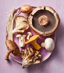 The Secret Life of Mushrooms: Nature’s Most Mysterious Organism