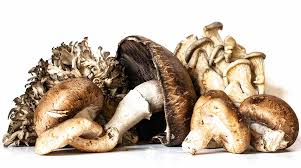 Mushrooms for Busy Lives: The Smart Ingredient You’re Probably Overlooking