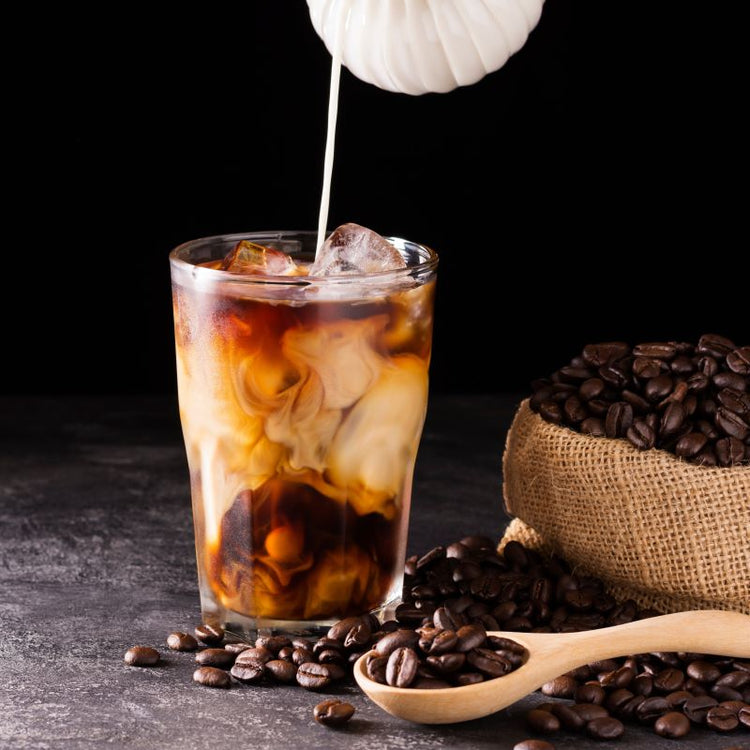 Shroomffee Cold Brew Latte Drinks