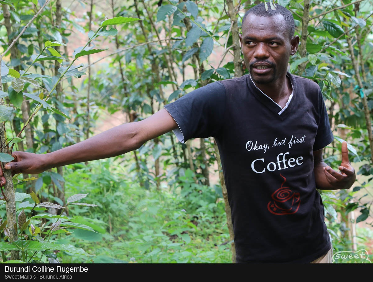 Burundi Colline Rugembe