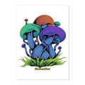 Colorful illustration of mushrooms with grass on a white background, featuring the brand 'Shroomffee'.