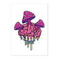 Colorful illustration of a brain with mushroom caps on a white background