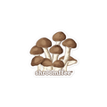 Illustration of mushrooms with 'shroomffee' text on a white background