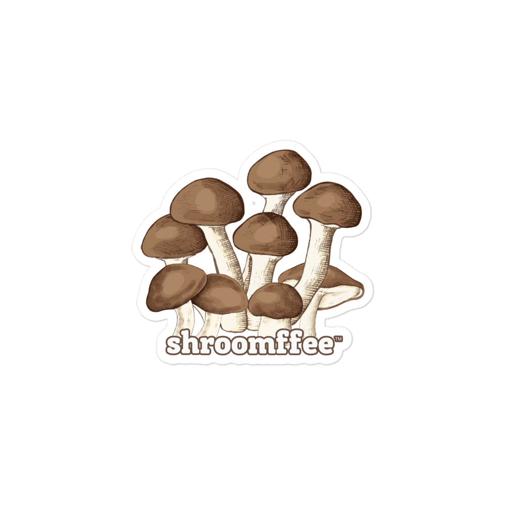 Illustration of mushrooms with 'shroomffee' text on a white background
