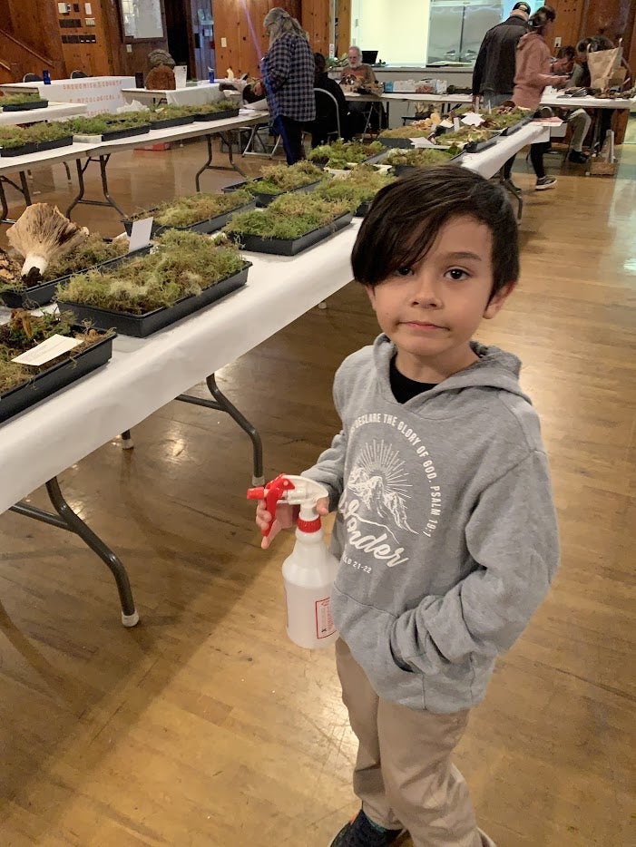 Our younger generation helping at the 2023 Snohomish County Mycological Society Mushroom Show