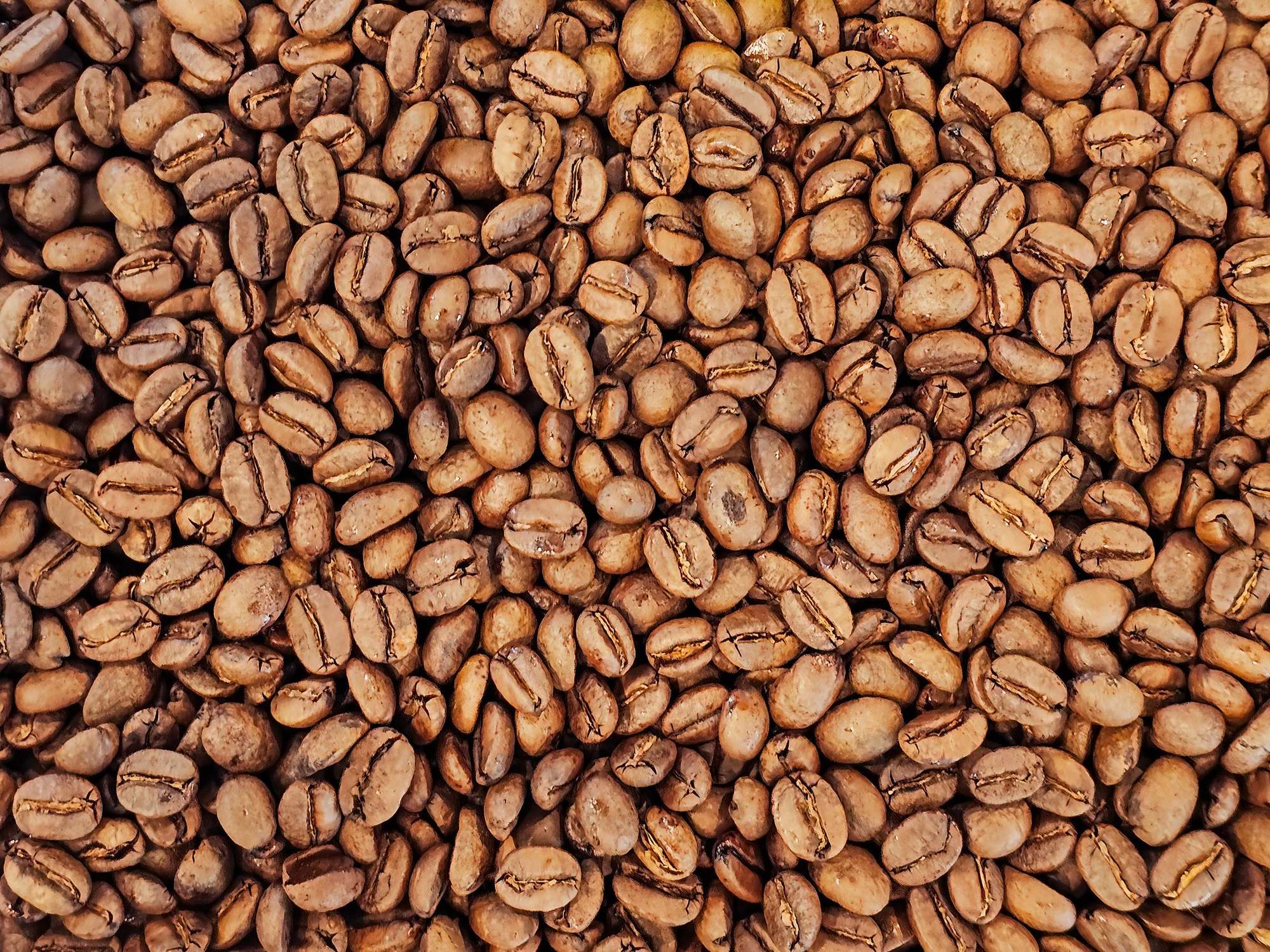 Fresh roasted beans