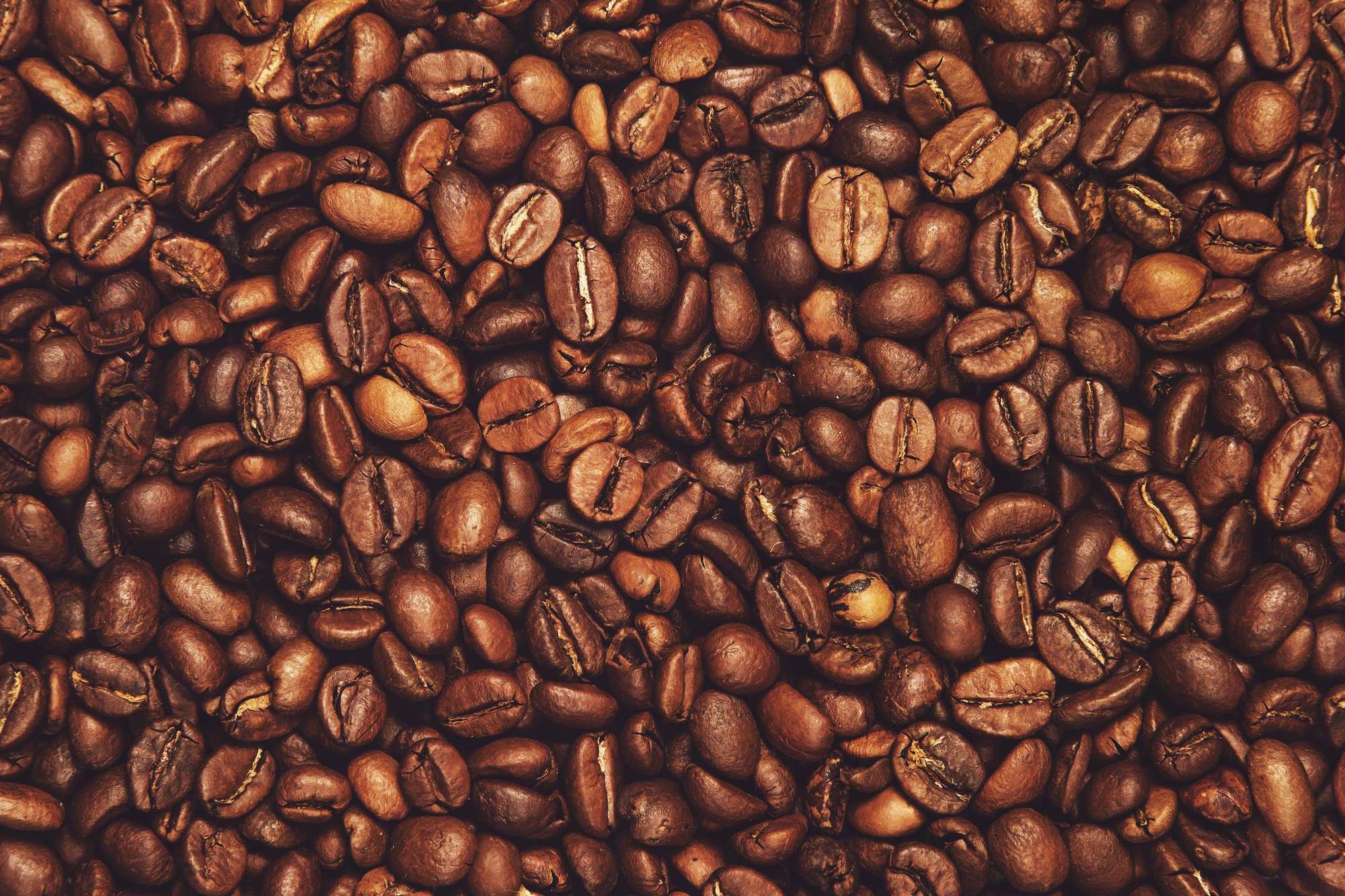 Coffee cherries