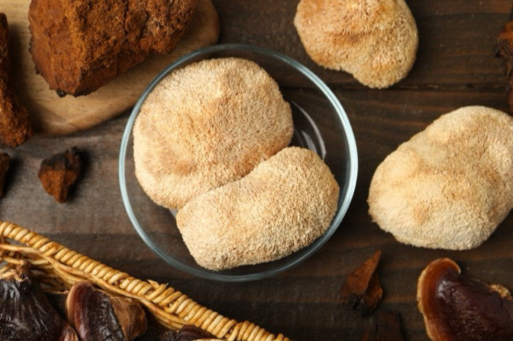 Lion's mane mushrooms used in our functional coffee blends
